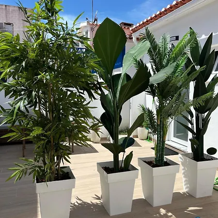 At Maries 4 페니케